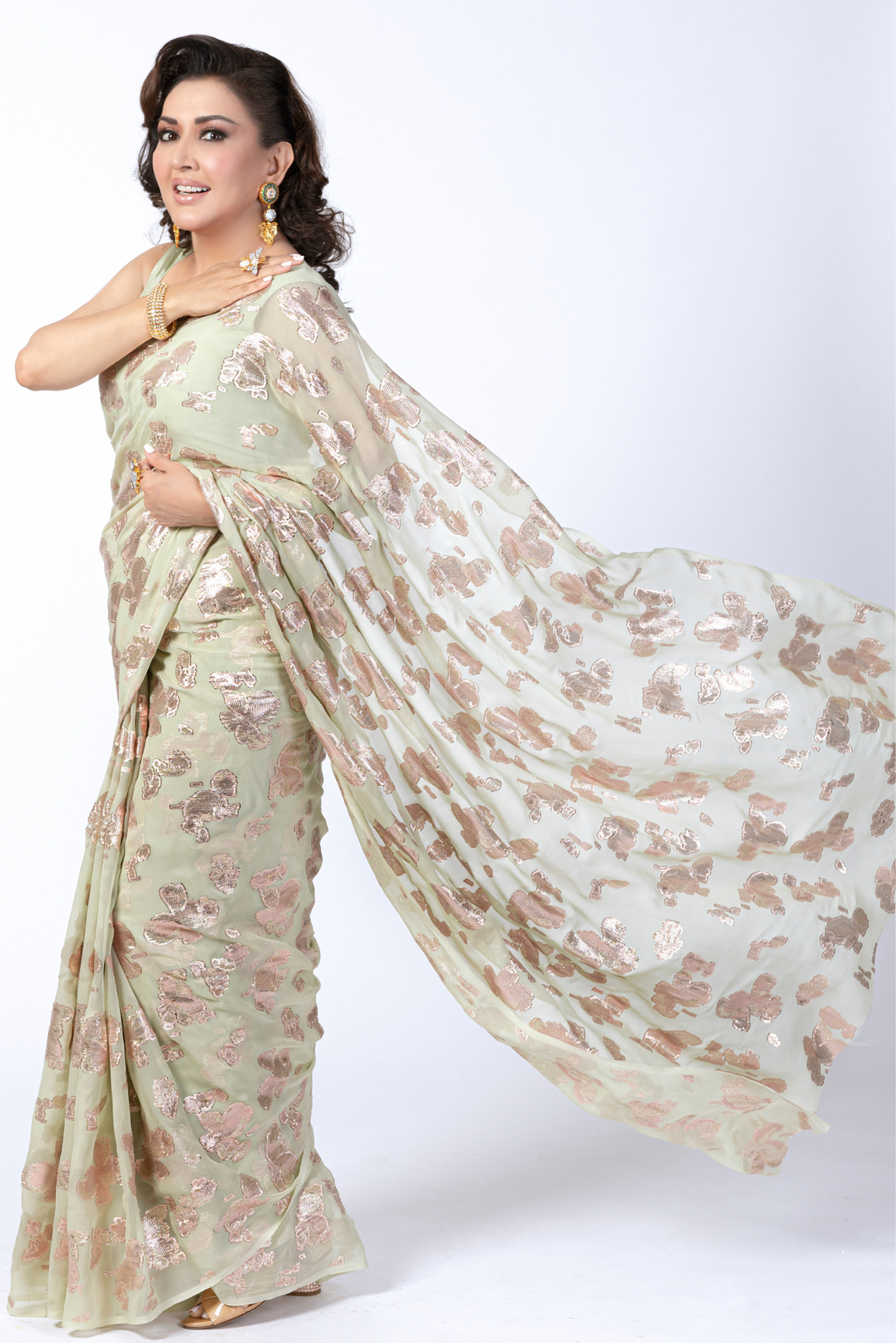 Noor Shimmer | Pistachio Chiffon Sari